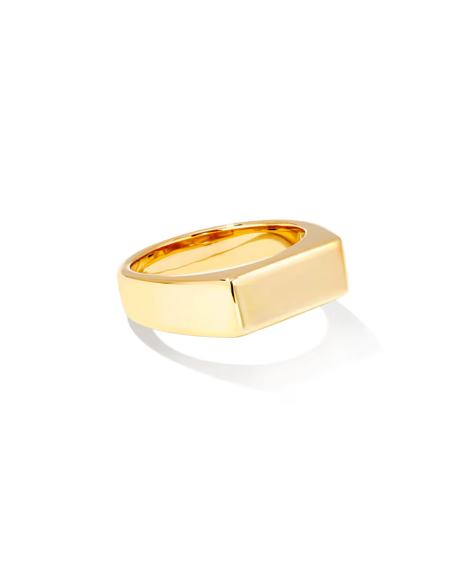 Hudson Signet Ring in Oxidized Sterling Silver