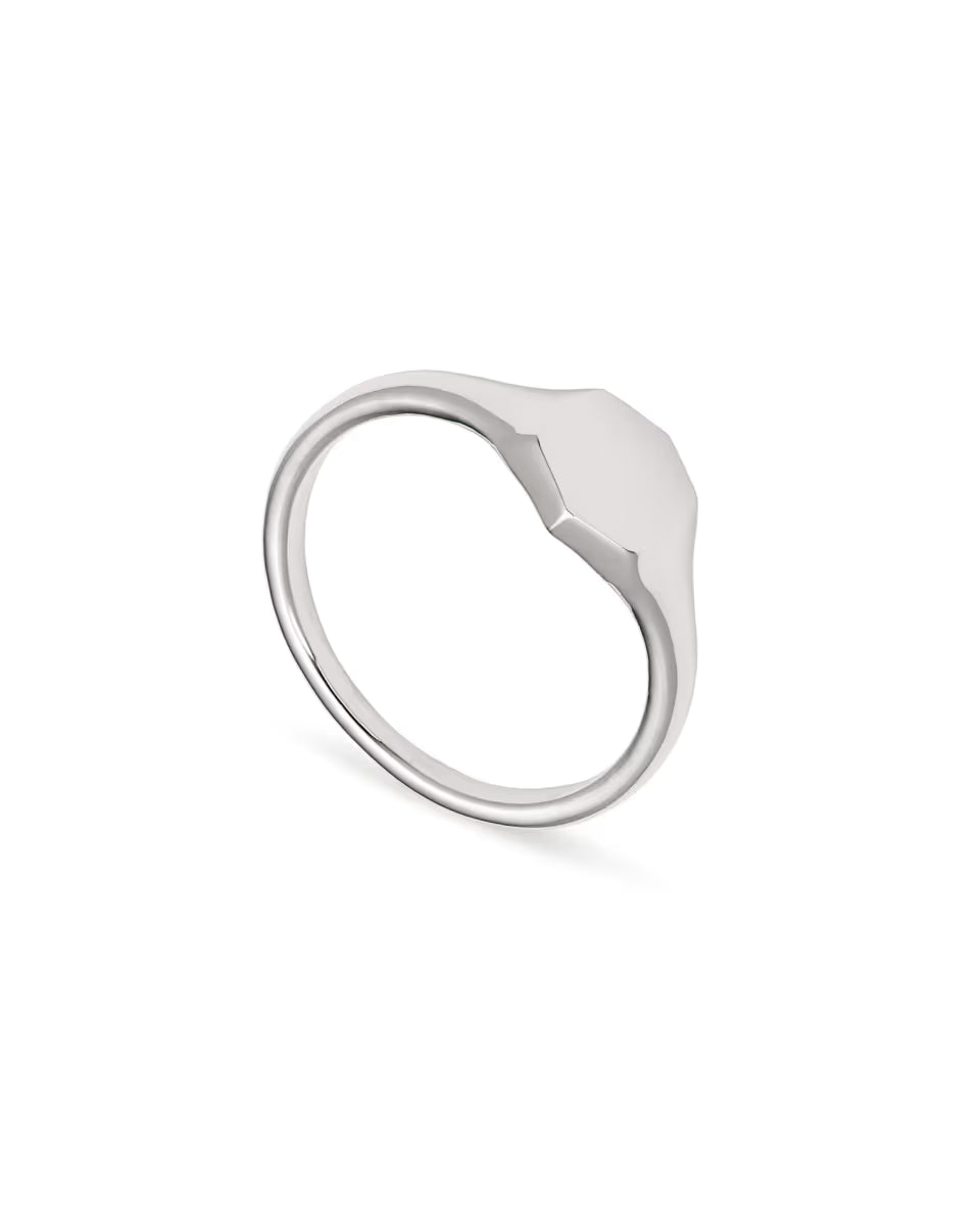 Davis Signet Ring in 18k Gold Vermeil