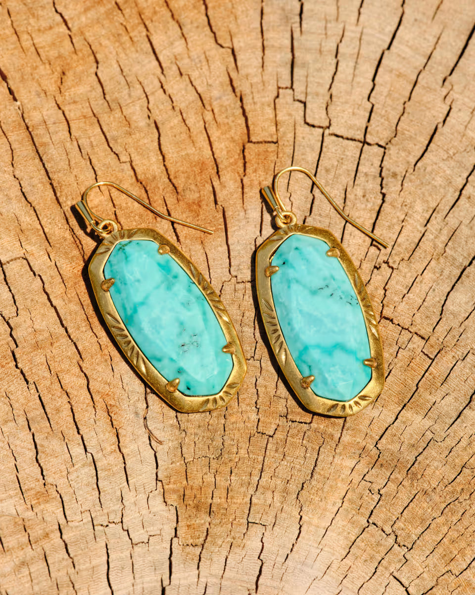 Elle Vintage Gold Etch Frame Drop Earrings in Bronze Veined Turquoise Magnesite Red Oyster