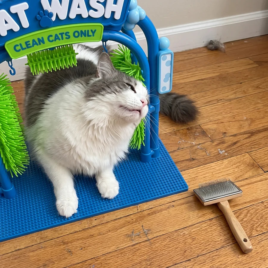 The Cat Wash